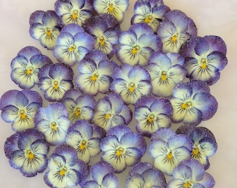 24 Edible Candied Pansies  - Crystallized Real Pansy Flowers - Violas - Purple & Cream