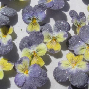 24 Edible Candied Flowers - Crystallized Flowers - Real Pansies Violas - Purple & Yellow Pansy Edible Flowers