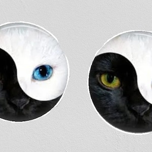 Cat Cabochons, 12mm Cabochon, Ying and Yang Cabochons, Black and White Cab,