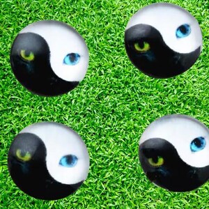 Cat Cabochons, 12mm Cabochon, Ying and Yang Cabochons, Black and White Cab,