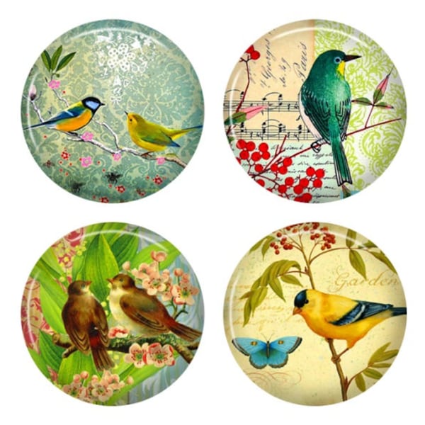 Bird Cabochons, Parrot, Bird Jewellery, 12mm Cabochons, 10mm Cabochons, 12mm Flatbacks,