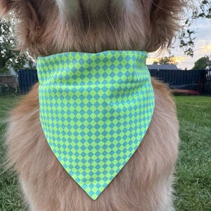 May include: A dog wearing a green and blue checkered bandana. The bandana is a vibrant green with a repeating pattern of blue squares. The dog's fur is a light brown color.
