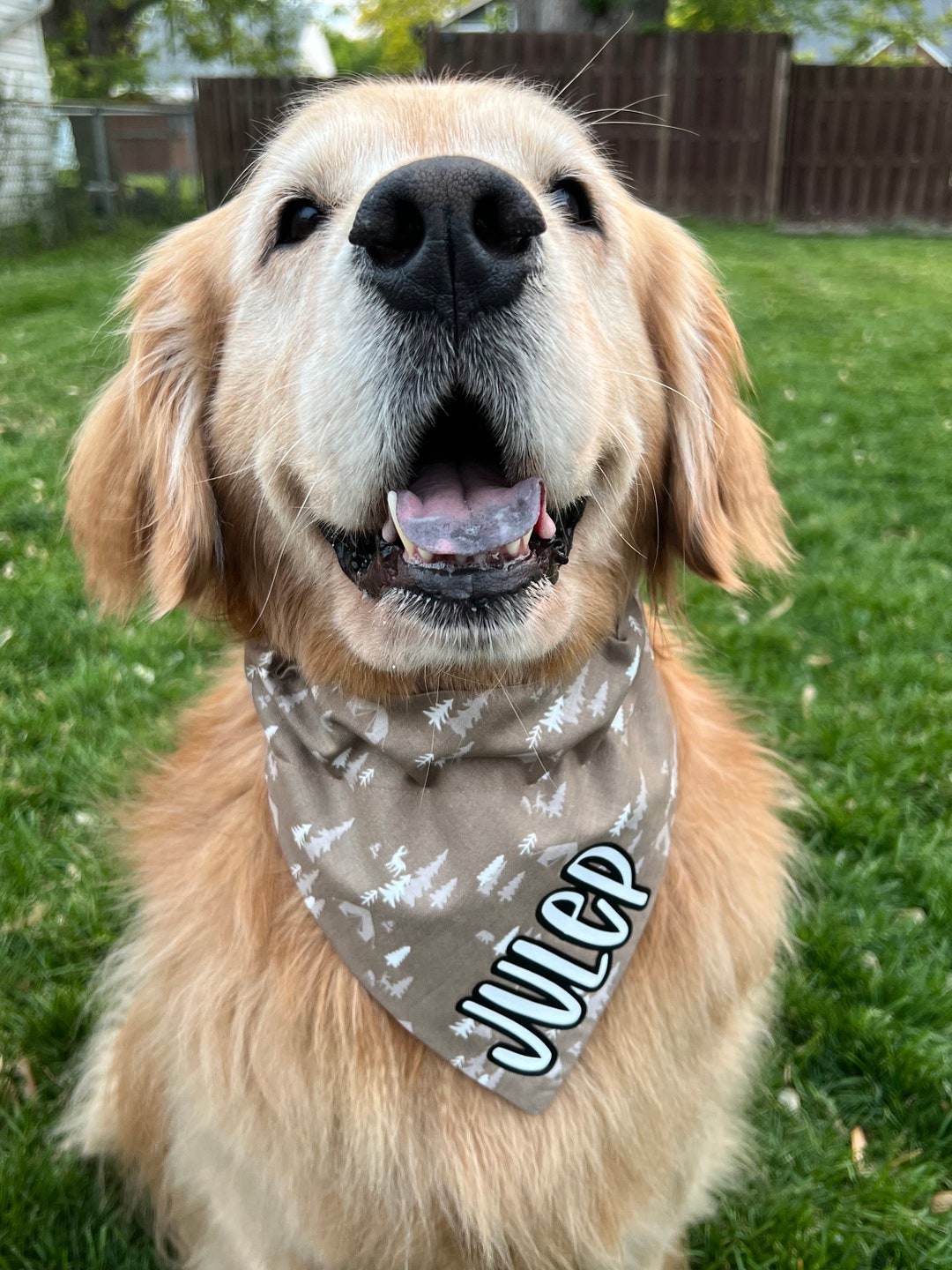 Camping Slide on Dog Bandana Scrunchie Headband or Face Etsy