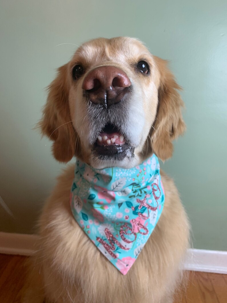 face covering or scrunchie Spring floral slide on dog bandana