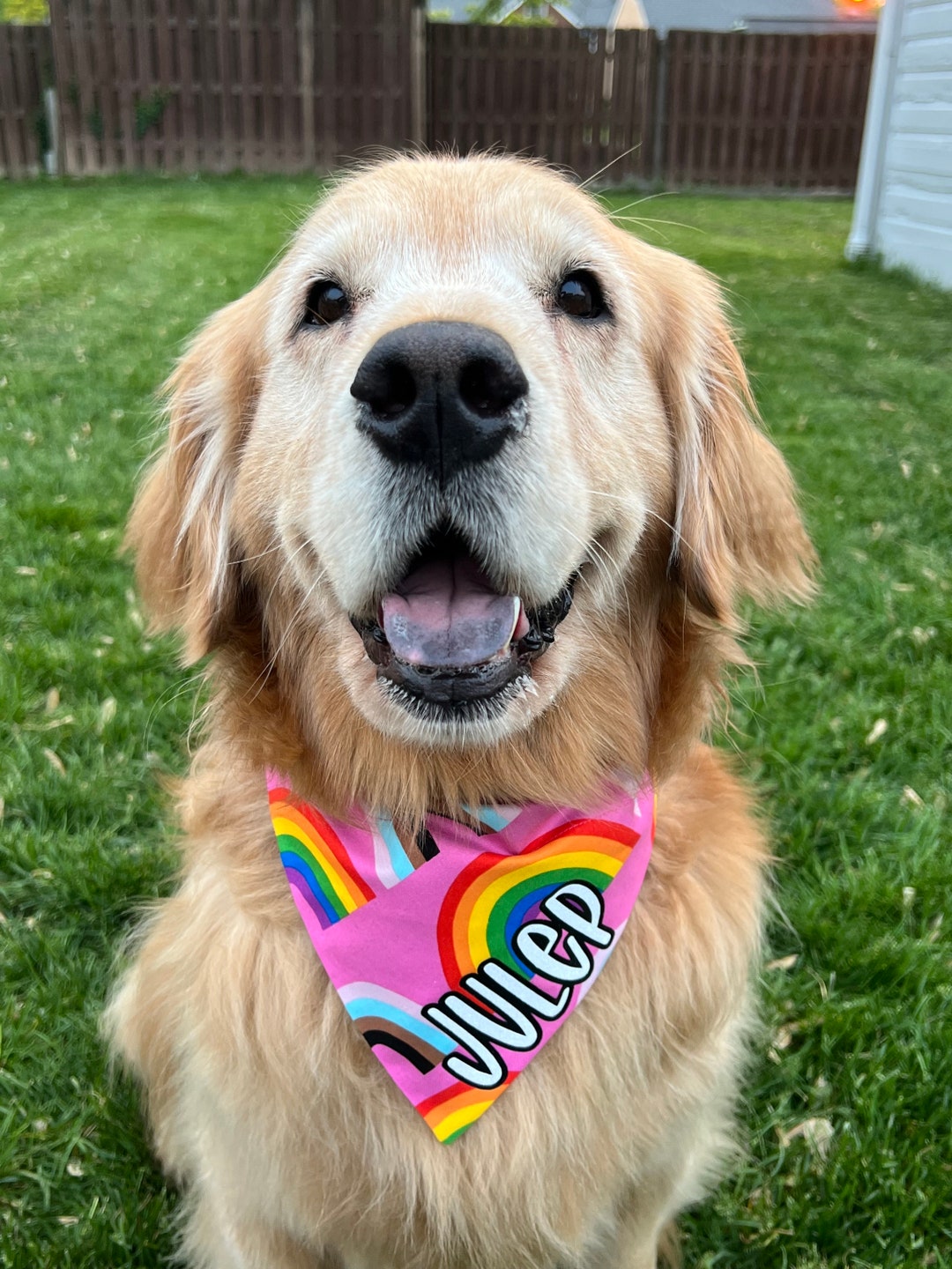 Pride Rainbow Slide on Dog Bandana Scrunchie Headband or Etsy