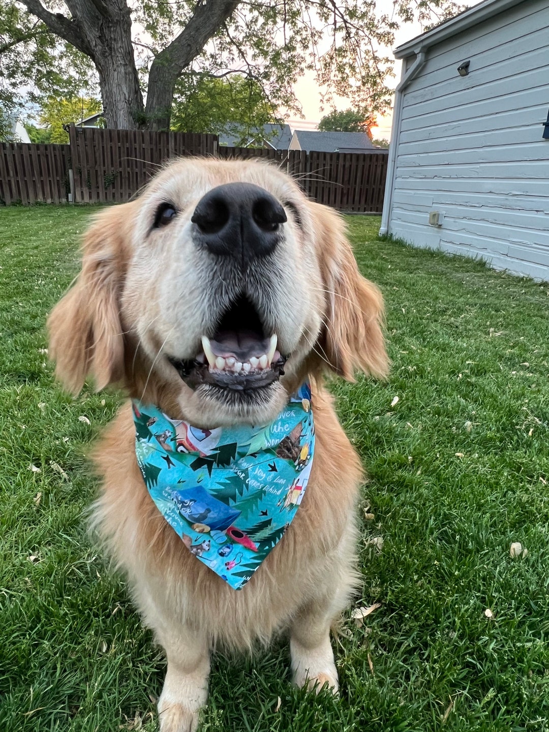 Camping Slide on Dog Bandana Scrunchie Headband or Face Etsy