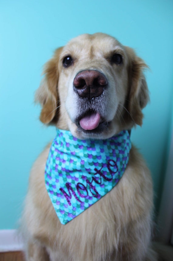 Slide on dog bandana deals