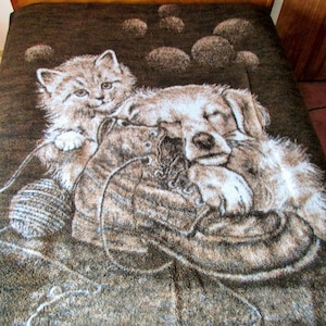 Biederlack Kitten Etsy
