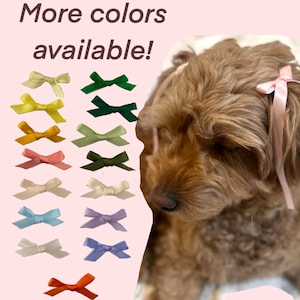 May include: A variety of colorful satin bows in shades of yellow, green, pink, and blue. The bows are displayed next to a brown dog with pink bows in its hair. Text reads "More colors available!"