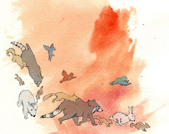Animali