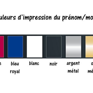 May include: A color chart showing six different colors for printing names or designs. The colors are red, royal blue, white, black, silver metal, and gold metal.