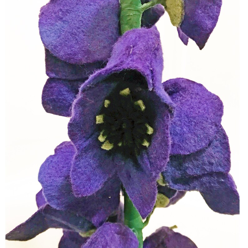 wolfsbane poisoning wolfsbane poisoning