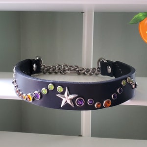 Ready to Wear 1&quot; Martingale Collar, Leather Dog Collar, Martingale Dog Collar with Nickel Chain and Swarovski Crystals