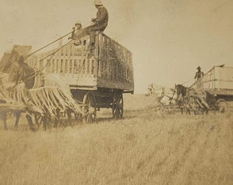 Farmers Working in Field RPPC Wagons & Team of Horses Photo Postcard