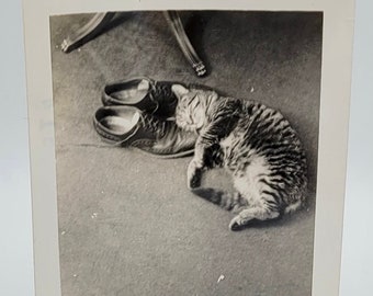 Vintage Katze, die auf einem Paar Schuhe Nickerchen macht