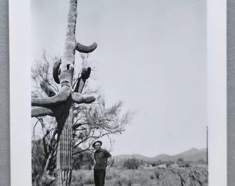 May include: A black and white vintage photograph showing a person wearing a hat and dark clothing standing in a desert landscape next to a tall, multi-armed saguaro cactus. The background features sparse desert vegetation and distant mountains.
