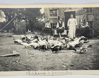 RPPC~Chickens~Two Dogs~Mother & Girls~Family Farm Life~Great Image~Photo Postcard