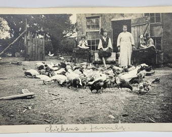 RPPC~Pollos~Dos perros~Madre y niñas~Vida familiar en la granja~Gran imagen~Foto postal