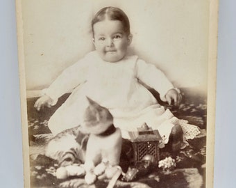 Little Child Cat Posed in Front~Cabinet Card Photo~Identified Name~Treasured Objects