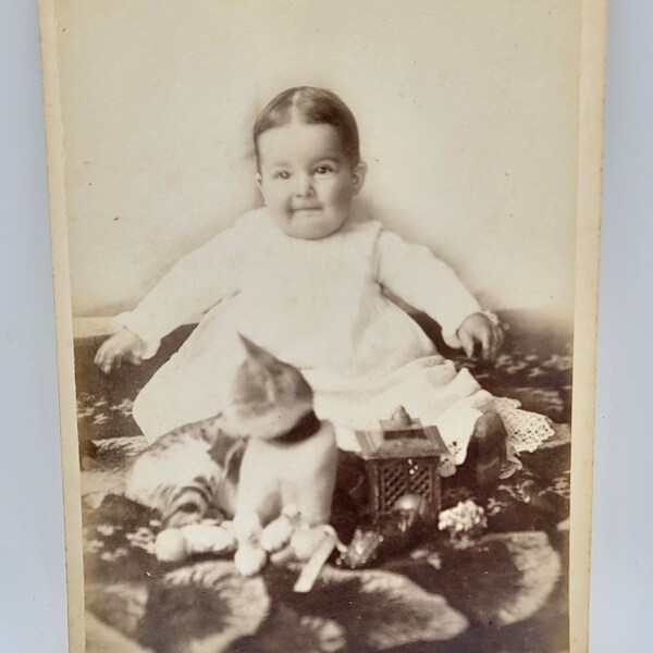 Little Child Cat Posed in Front~Cabinet Card Photo~Identified Name~Treasured Objects