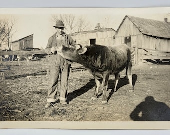 Farm Barnyard Photo~RPPC~Older Boy with Cow~Outbuildings~Photographer Shadow~Photo Postcard