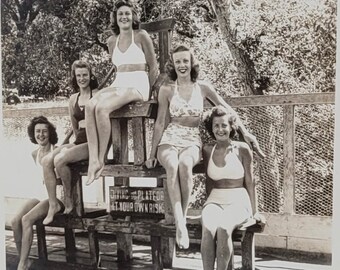 Badeschönheiten~Vintage Foto~Fünf Frauen in Badeanzügen~Tauchplattformschild