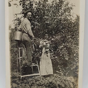 Colhendo Maçãs ~RPPC ~Homem na Escada com Balde ~Mulher Colhendo Maçãs Sob a Árvore