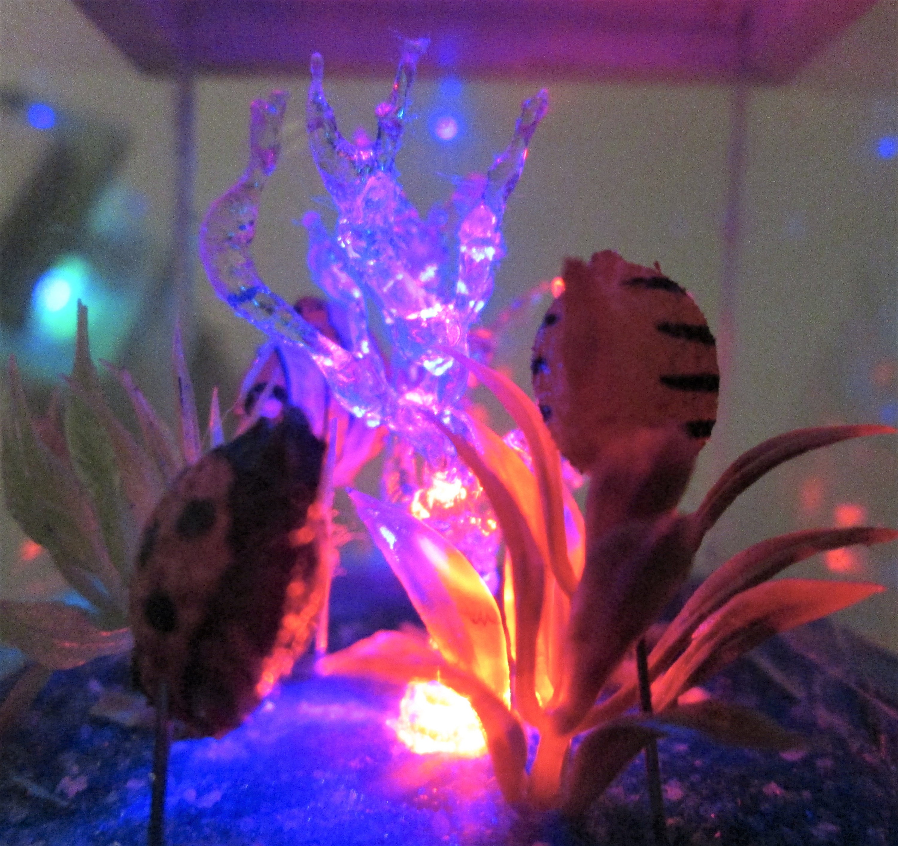112 scale miniature aquarium with three fish, miniature LED fish tank