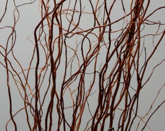 willow branches etsy