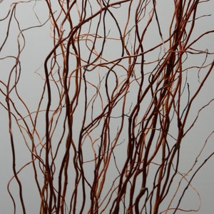 21+ Curly Willow Branches Decor