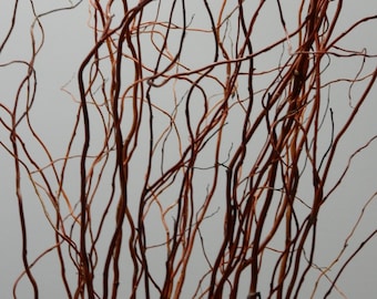 60" Curly Willow Stems/ Curly Willow Branches/ 15 count / Floral Design/ Wedding Decorations / Arrangements/ Freshly Harvested