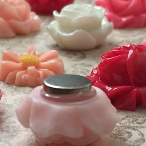 May include: Assortment of colorful flower-shaped magnets in pink, white, and red. The magnets are made of resin and have a shiny finish.