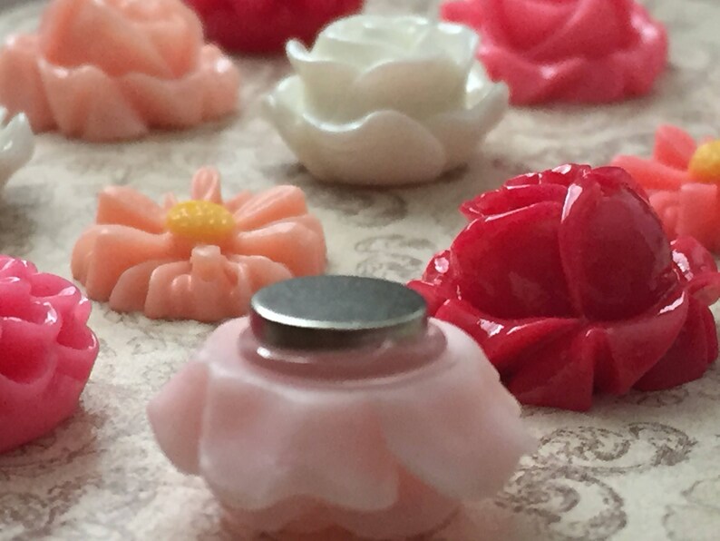 May include: Assortment of colorful flower-shaped magnets in pink, white, and red. The magnets are made of resin and have a shiny finish.