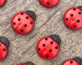 Ladybug Magnets,Lady Bug Magnets for Magnet Board,Insect Magnet,Ladybug Gifts,Ladybug Decorations,Gifts for Nature Lovers,Beetle Magnet Set