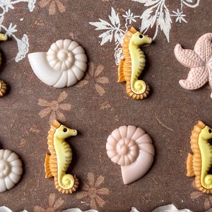 Sea Horse Magnets,Marine Life Gift,Beach Magnet,Seashell Magnets,Ocean Decor,Sea Creature Gift,Beach Gift Ideas,Sea Life Magnets,Conch Shell