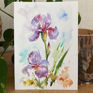 Può includere: Un dipinto ad acquerello su carta bianca raffigurante due fiori di iris viola con steli e foglie verdi. L'opera presenta morbide sfumature di colore blu, verde e arancione sullo sfondo, con una firma nell'angolo in basso a sinistra.