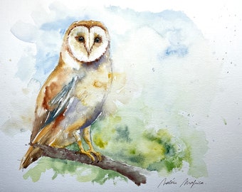 Original watercolor painting of a barn owl, drawing of a nocturnal raptor bird, wall art watercolor sketch, screech owl painting artwork