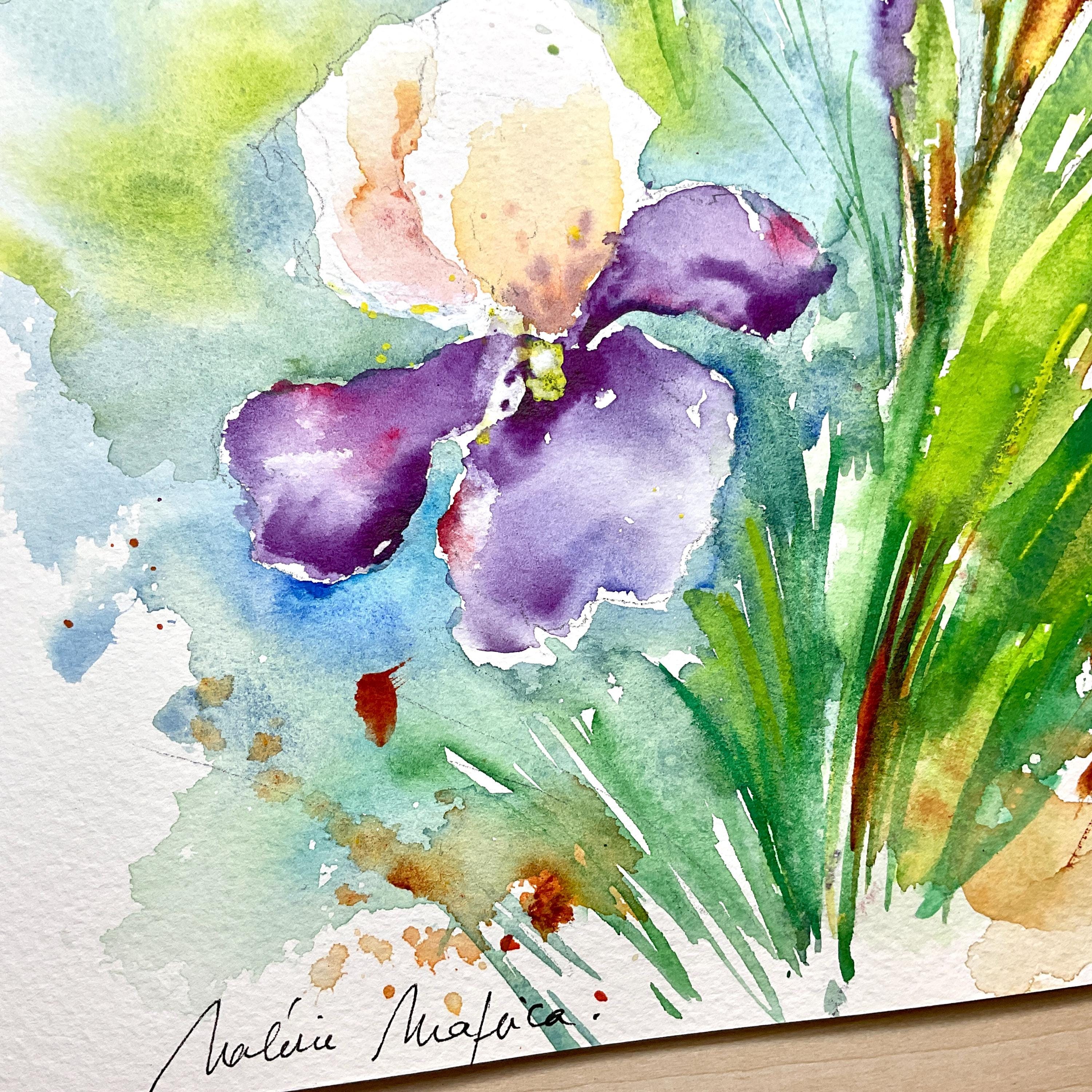 オリジナルの水彩画に描かれたアイリス、色とりどりの庭のアイリス
