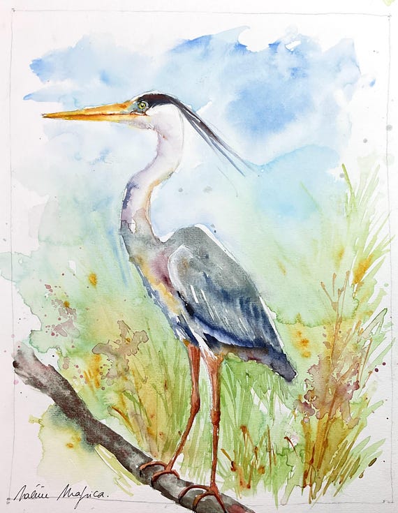 アオサギの絵画、オリジナルの水彩画、湿地や池の水鳥の絵画、鳥