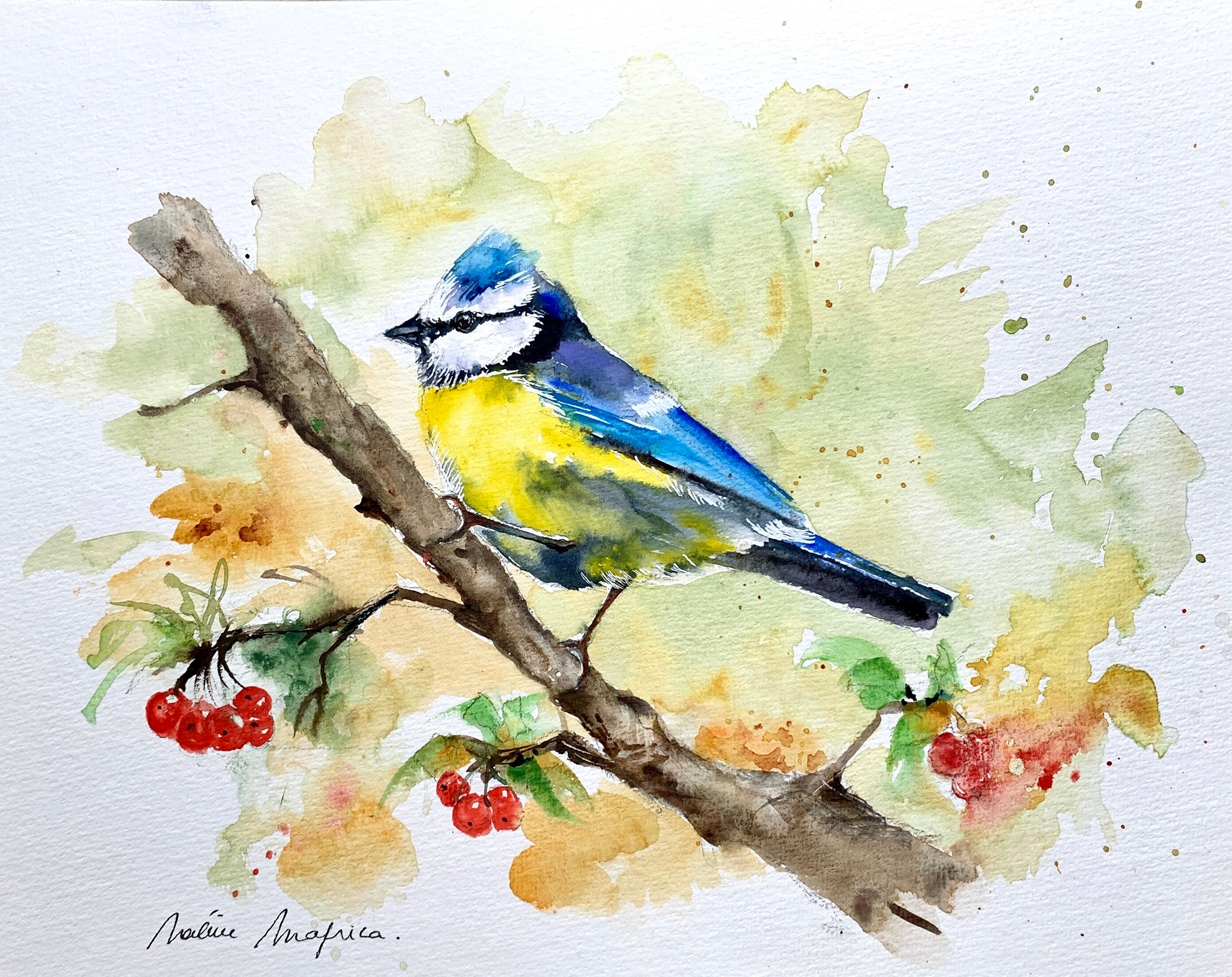 Blue Tit Garden Bird Painting Original Watercolor of a little