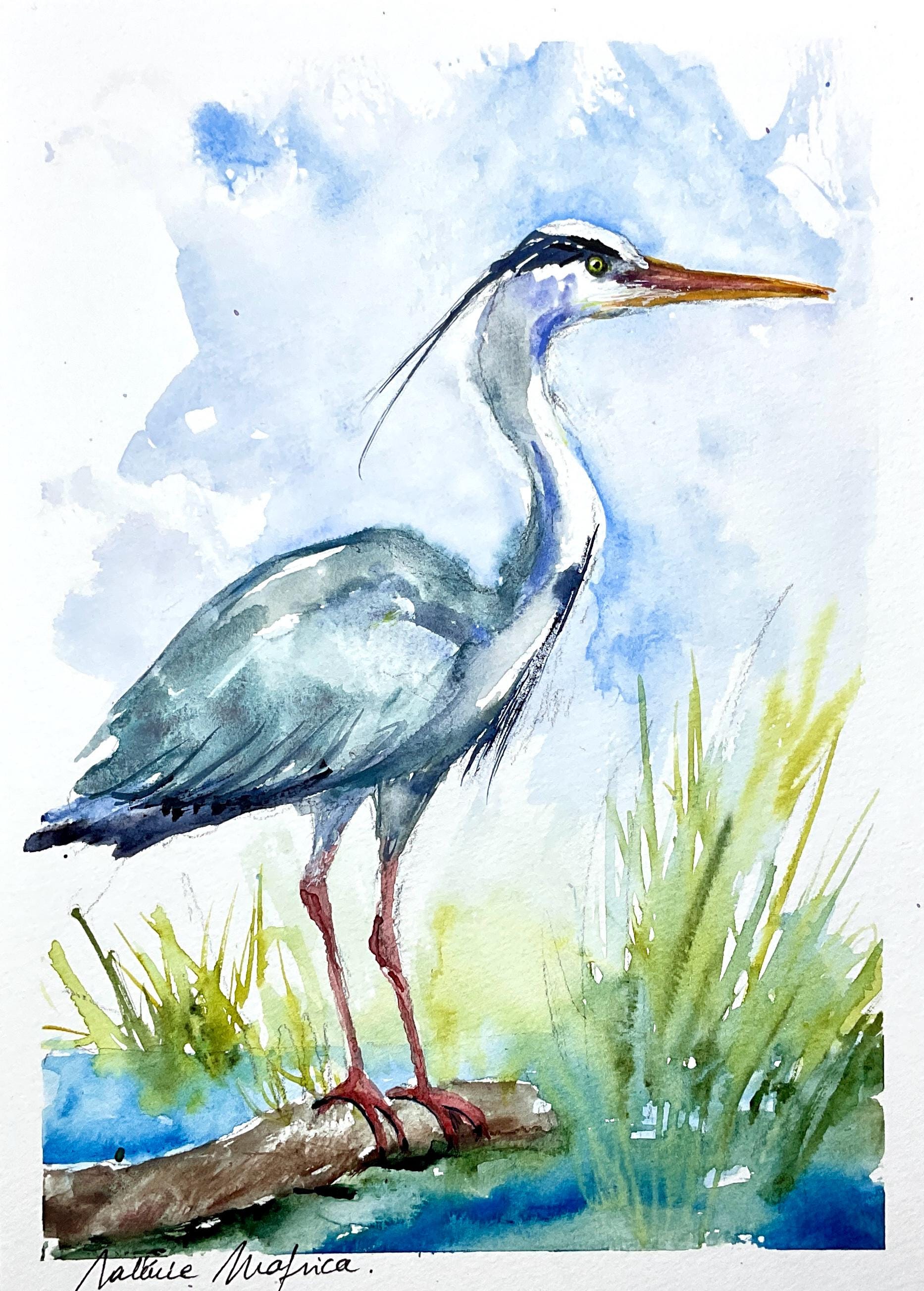 アオサギの絵画、アオサギのオリジナル水彩画、沼地や池の水鳥の絵画