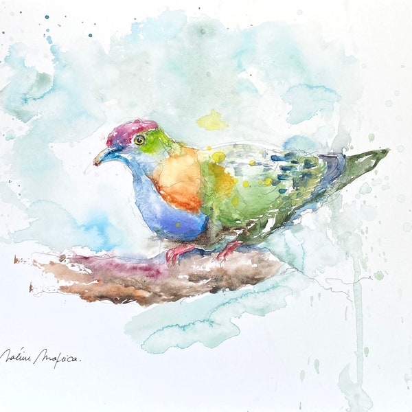 Aquarelle originale d’une tourterelle Ptilope Superbe, peinture d’une colombe exotique colorée sur une branche, art unique mural oiseaux