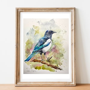 Magpie original watercolor painting, the birds of the gardens, an authentic and unique colorful drawing of a black and white wild magpie