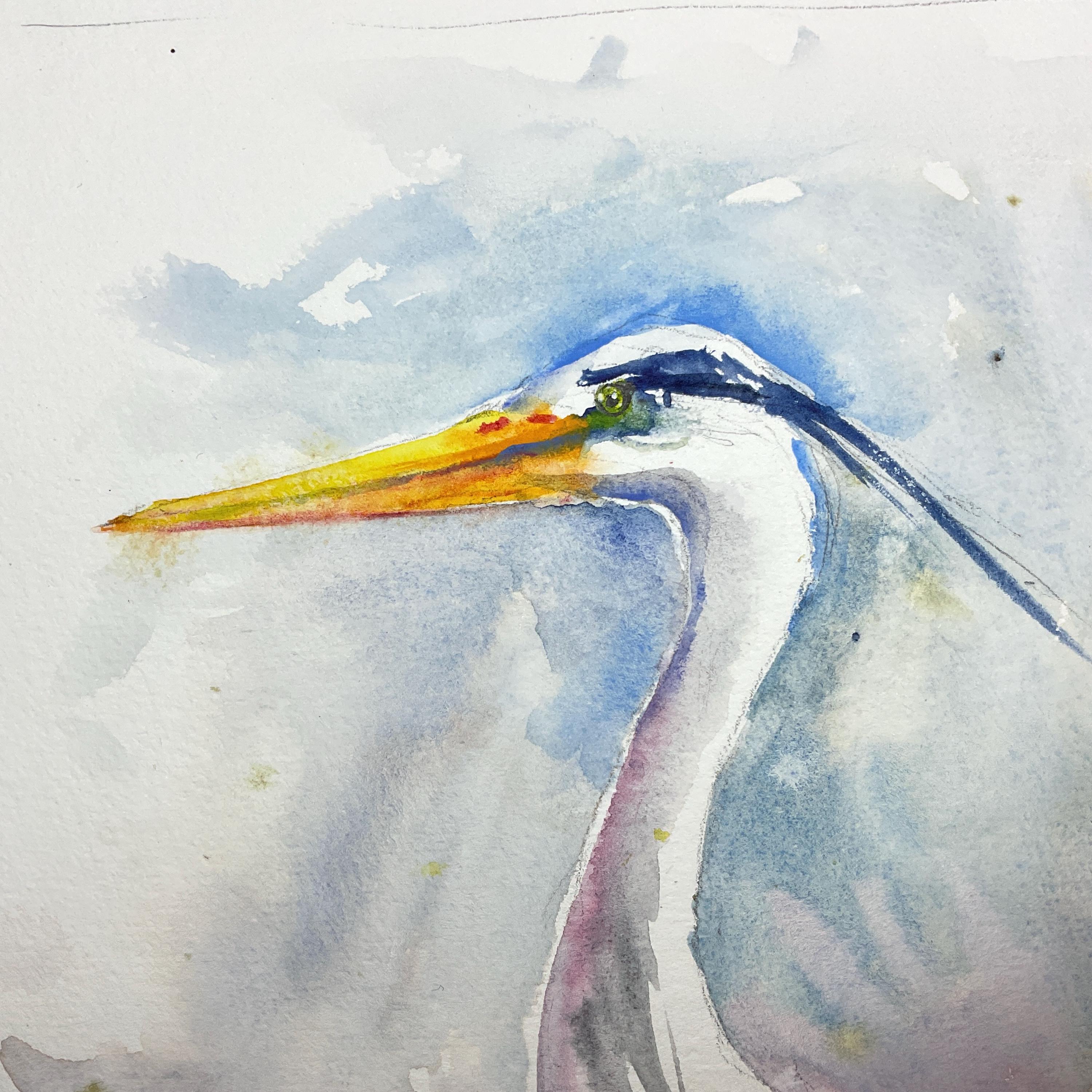 アオサギの絵画、アオサギのオリジナル水彩画、沼地や池の水鳥の絵画