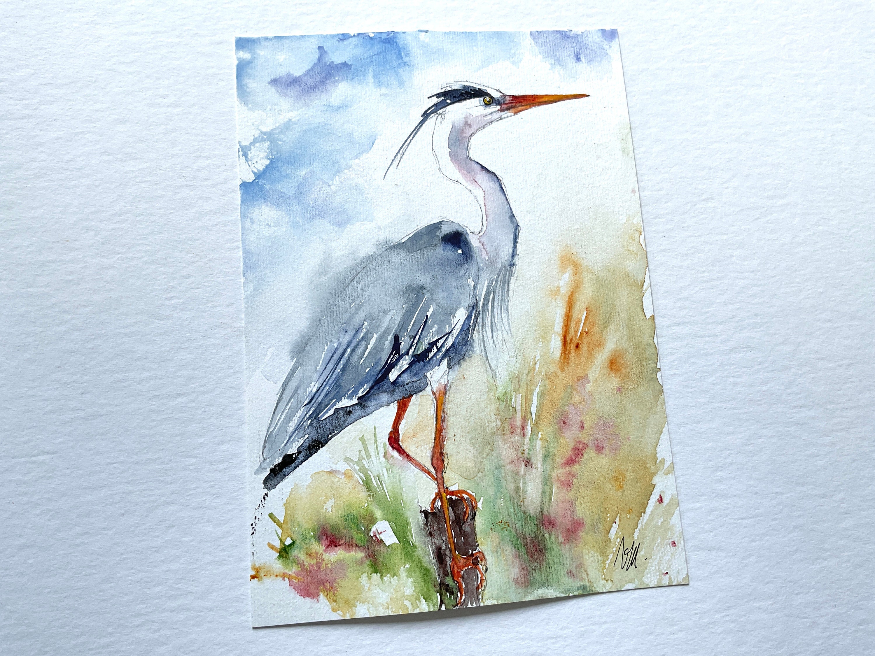 アオサギの絵、アオサギのオリジナル水彩画、沼地と池の渉禽類の絵