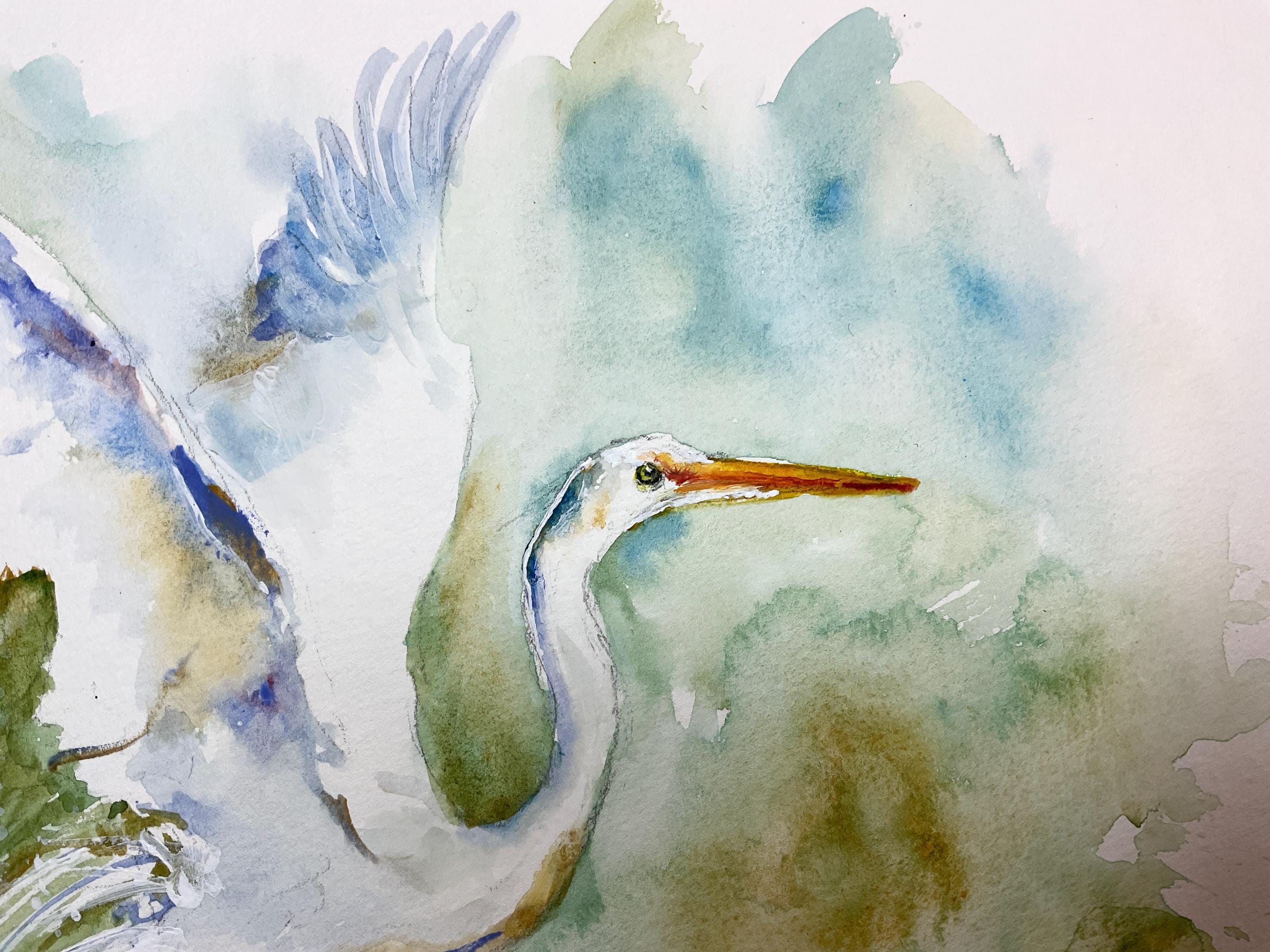 オリジナルの水彩画に描かれた白い白鷺、湖の上を飛ぶ雄大で優雅な白い