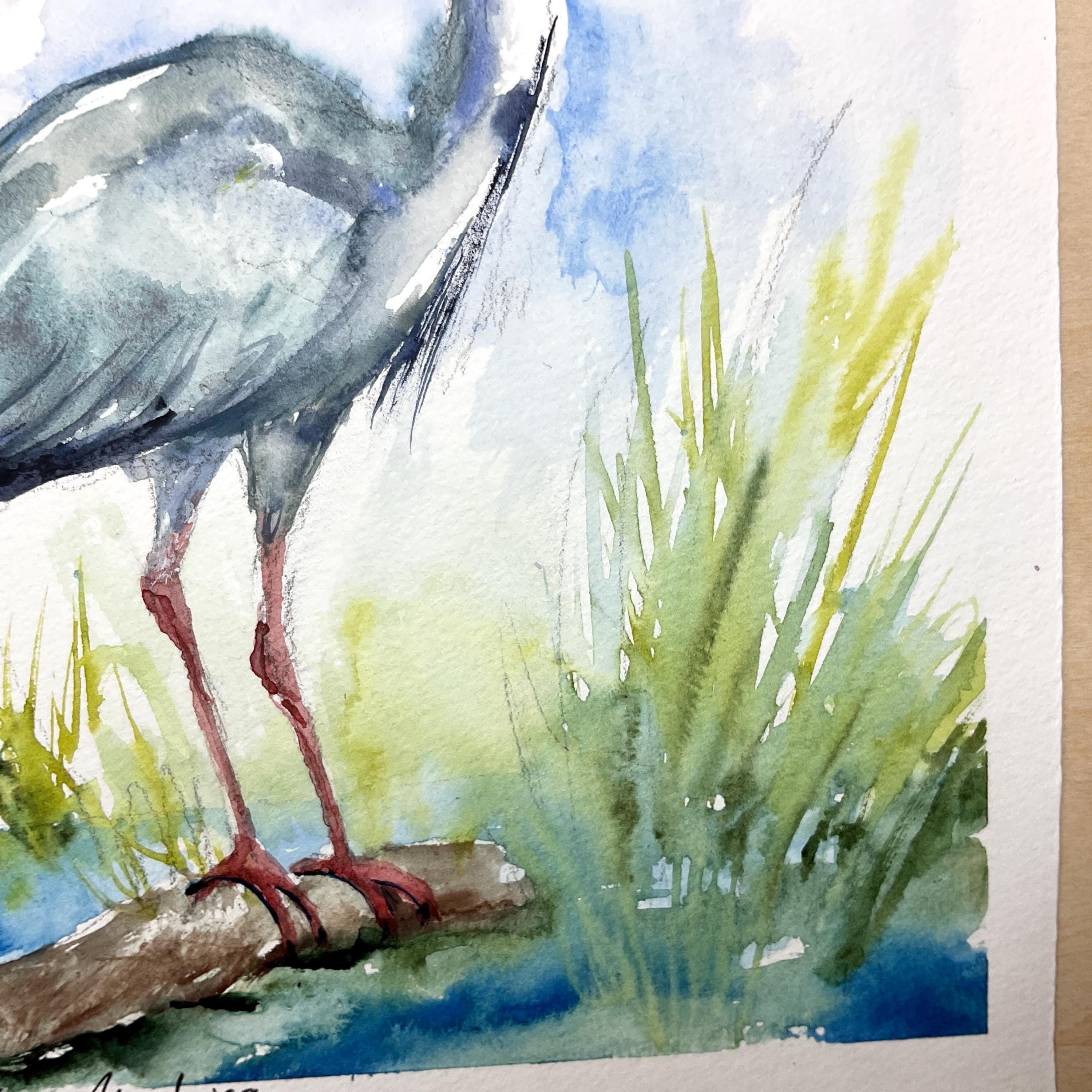 アオサギの絵画、アオサギのオリジナル水彩画、沼地や池の水鳥の絵画