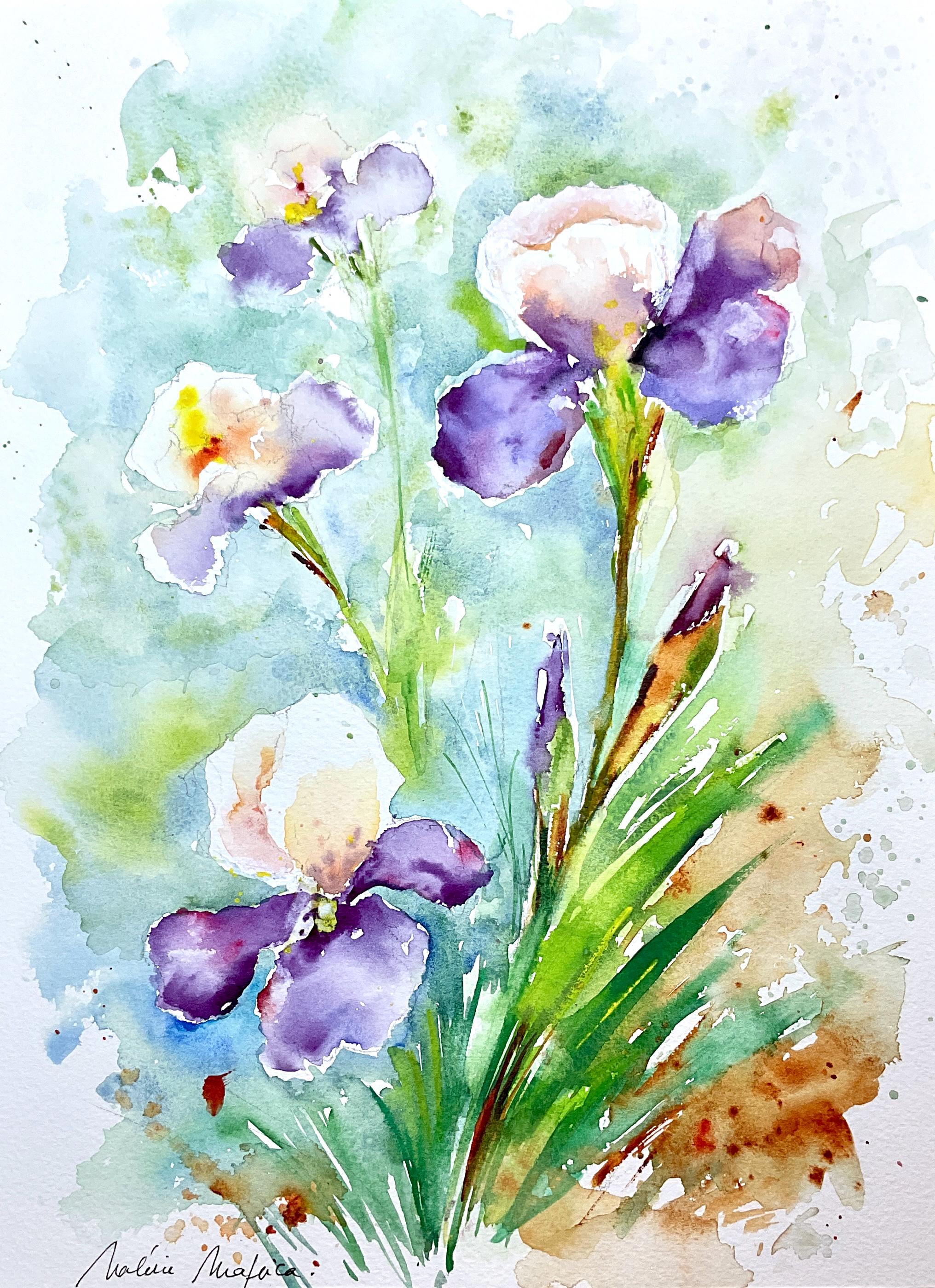 オリジナルの水彩画に描かれたアイリス、色とりどりの庭のアイリス