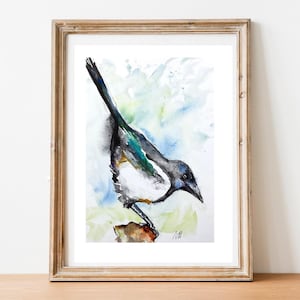 A magpie in watercolor in original painting, pictorial art on the theme of birds, magpie thief of gardens and forests, decorative art gift