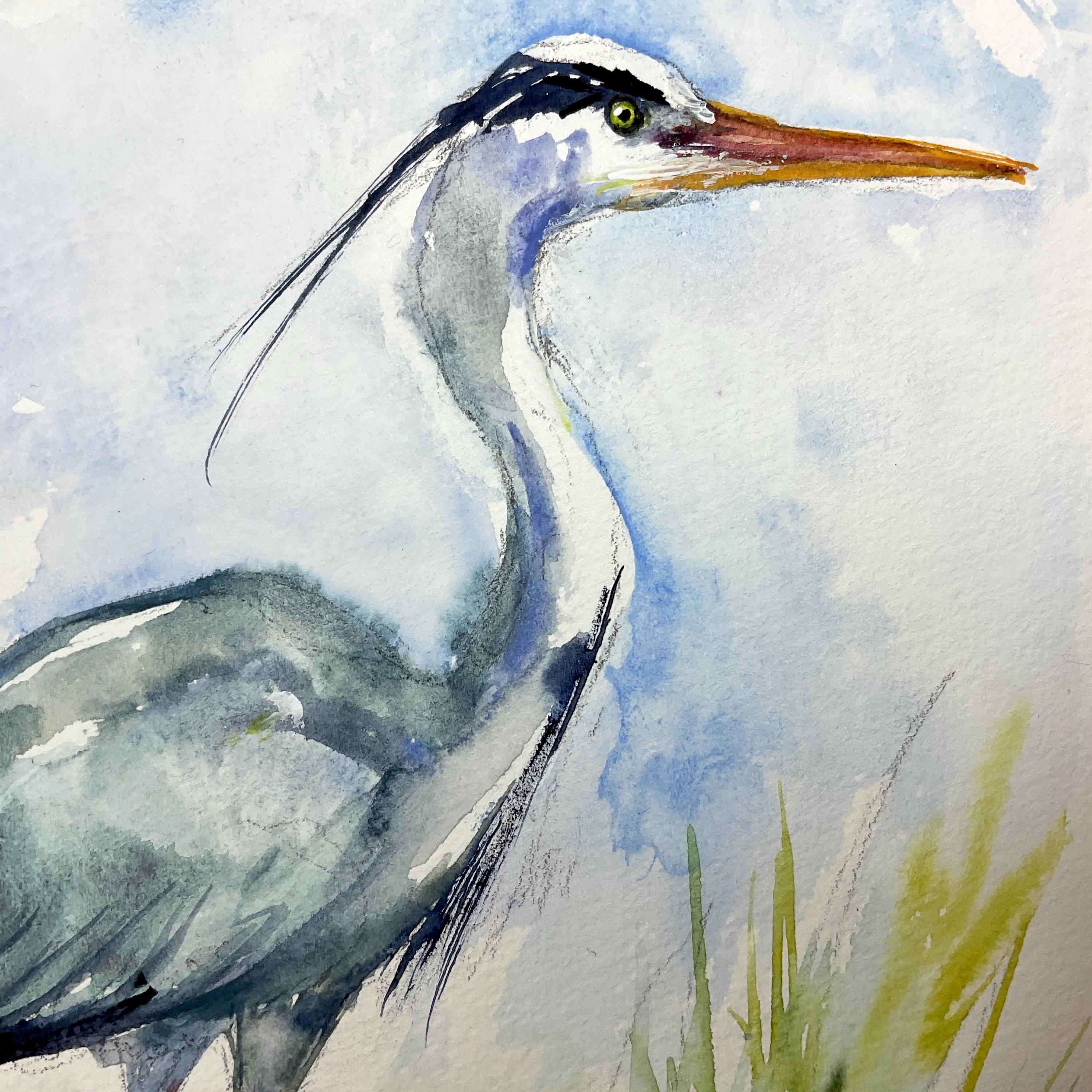 アオサギの絵画、アオサギのオリジナル水彩画、沼地や池の水鳥の絵画
